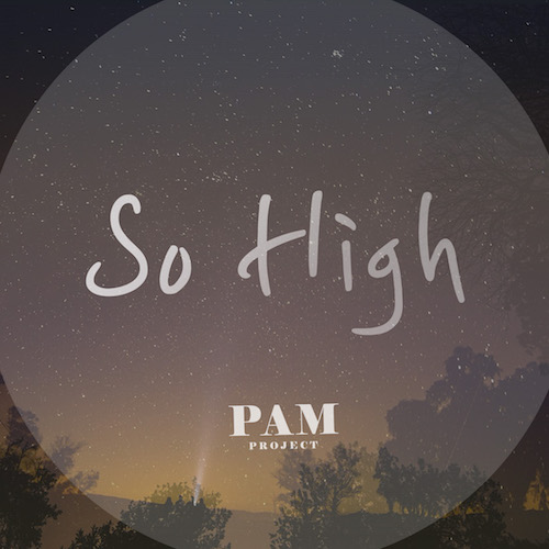 PAM Project_So High_500.jpg