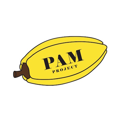 PAM_400.jpg